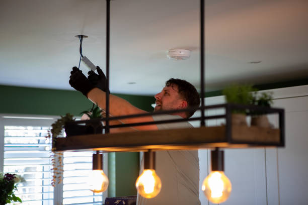 Best Electrician for Home Renovation  in Hull, IA